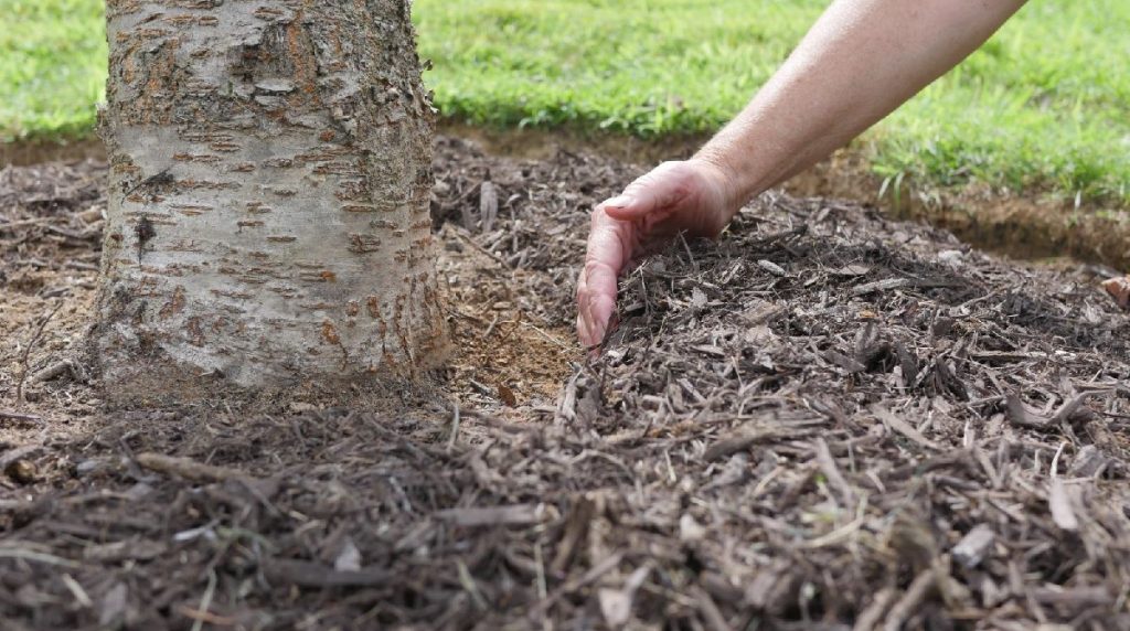 cincinnati mulch delivery company